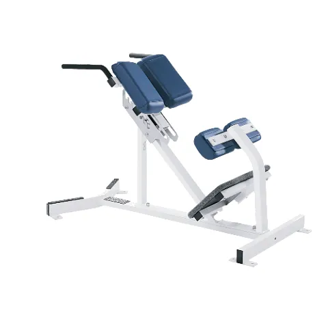 Hammer Strength Back Extension
