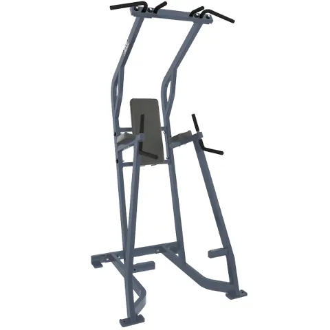 Hammer Strength Chin/Dip/Leg Raise