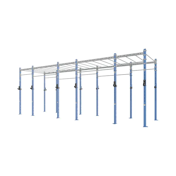 Hammer Strength HD Athletic Pro Rigs