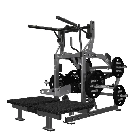 Hammer Strength Plate Loaded Belt Squat
