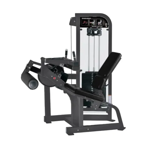 Hammer Strength Select Seated Leg Curl