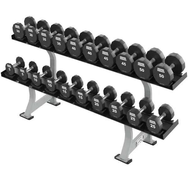 Hammer Strength Two Tier Dumbbell Rack