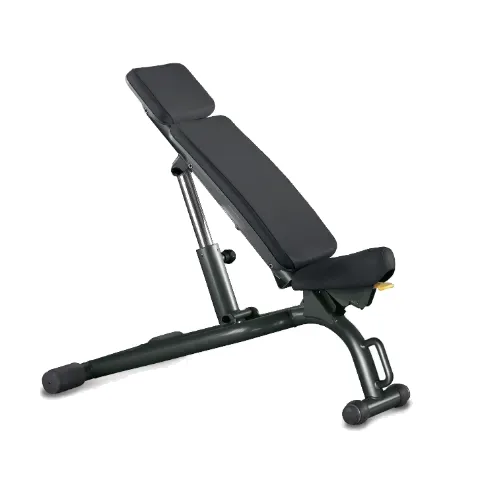 Technogym Adjustable Bench (PA04)