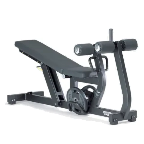 Technogym Adjustable Decline/Ab Crunch