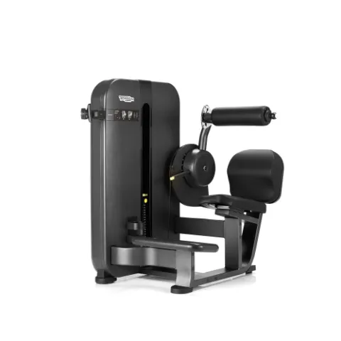 Technogym Artis Lower Back