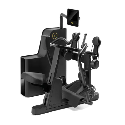 Technogym Biostrength Low Row