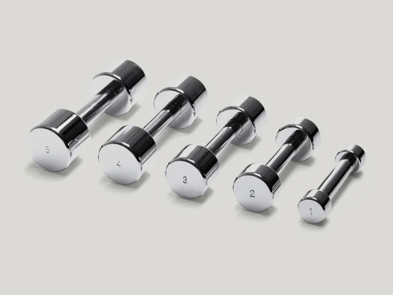 Technogym Chrome Dumbbell