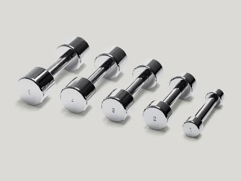 Technogym Chrome Dumbbell