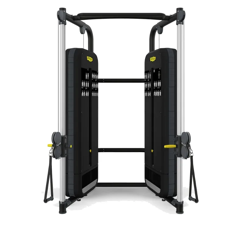 Technogym Dual Adjustable Pulley Fitness