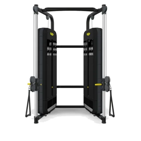 Technogym Dual Adjustable Pulley Fitness