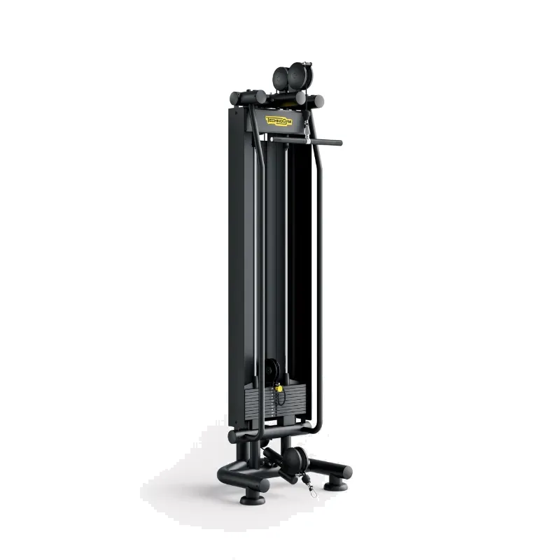 Technogym High Low Pulley