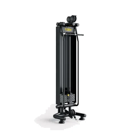 Technogym High Low Pulley