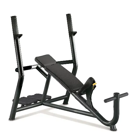 Technogym Inclined Bench