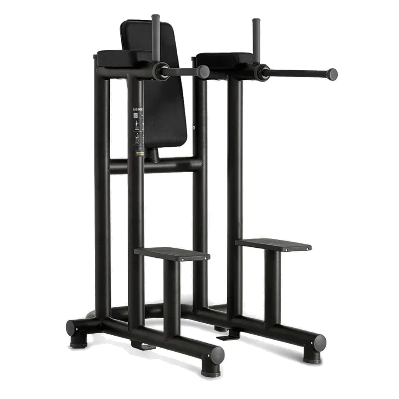 Technogym Leg Raise Dip