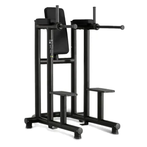 Technogym Leg Raise Dip