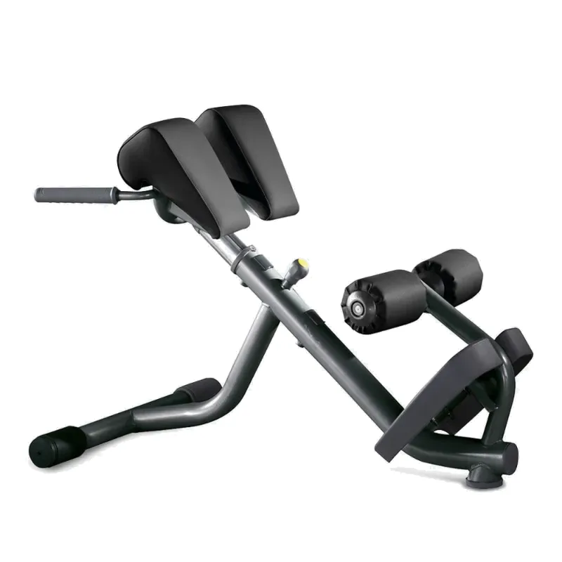Technogym Lower Back Bench (PA05)