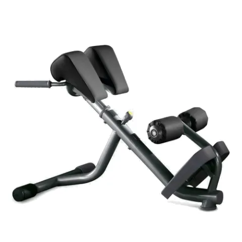 Technogym Lower Back Bench (PA05)