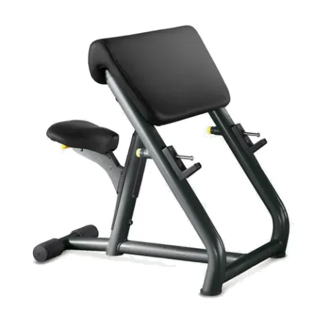 Technogym Scott Bench (PA06)