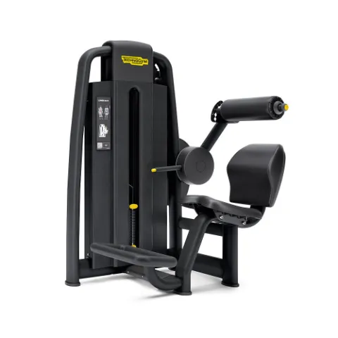 Technogym Selection 700 Lower Back