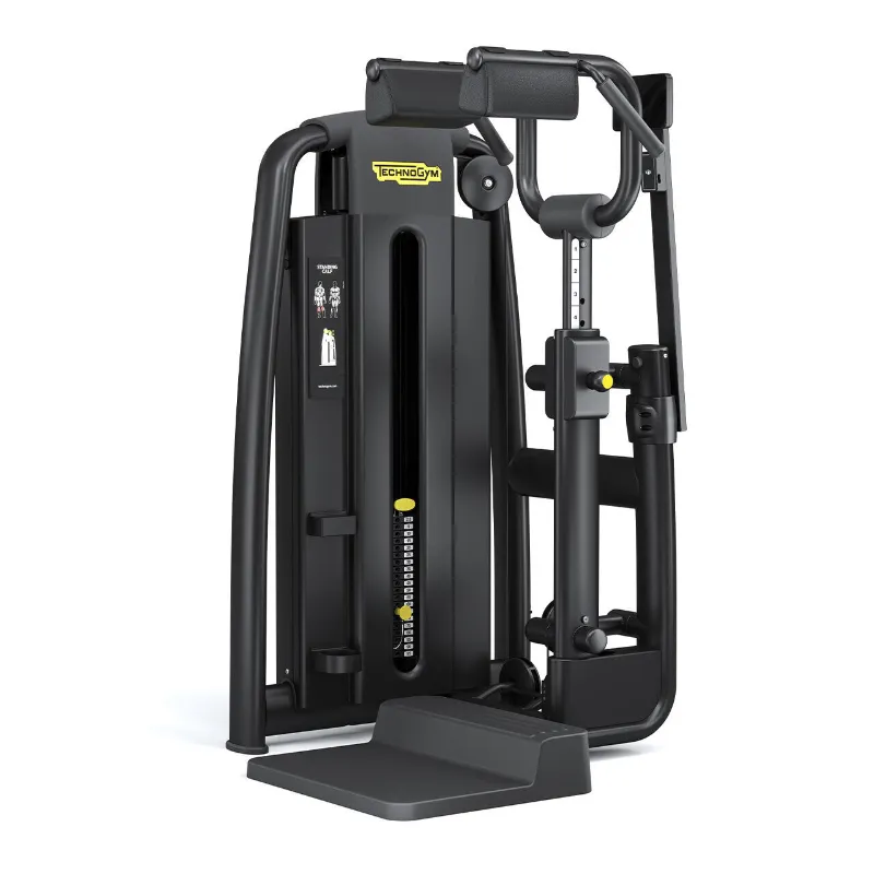 Technogym Selection 900 Standing Calf