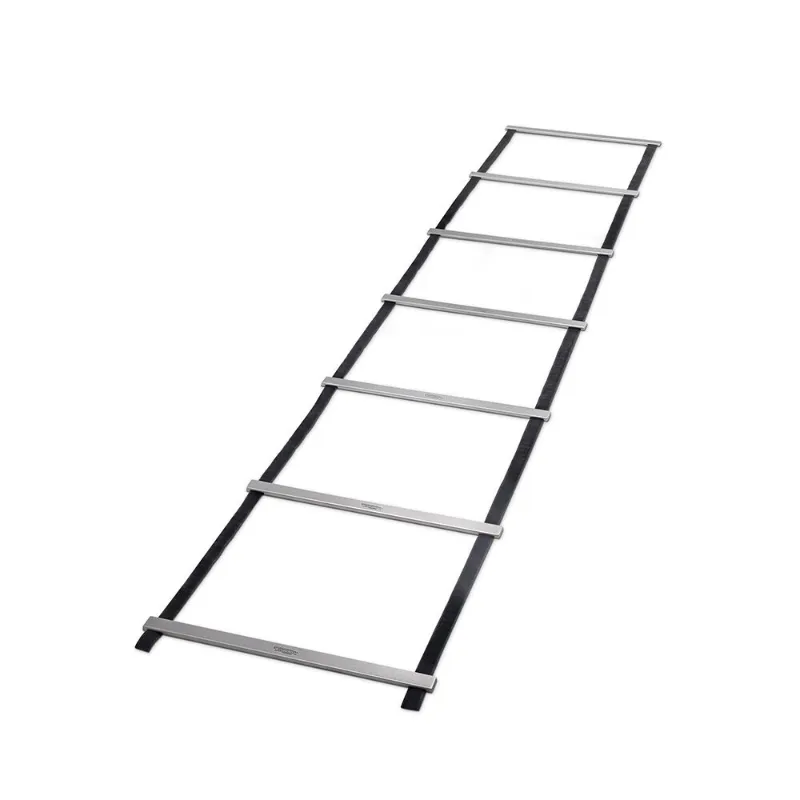Technogym Speed Ladder