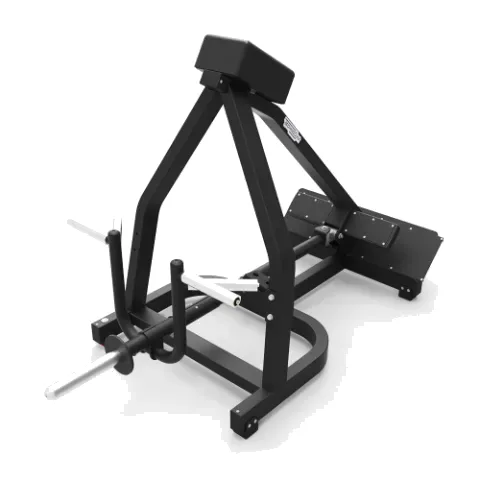Technogym T Bar Row