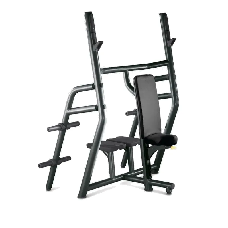 Technogym Vertical Bench