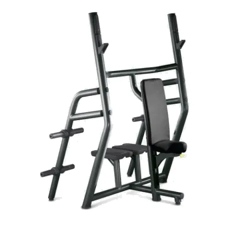 Technogym Vertical Bench