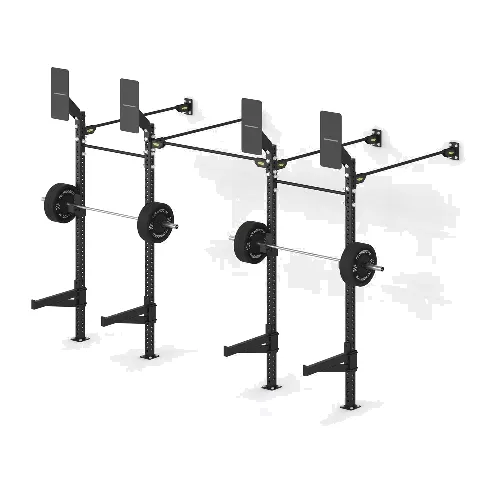 Technogym Wall Low Rig Two Bay – Deep